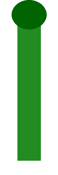 Butulka